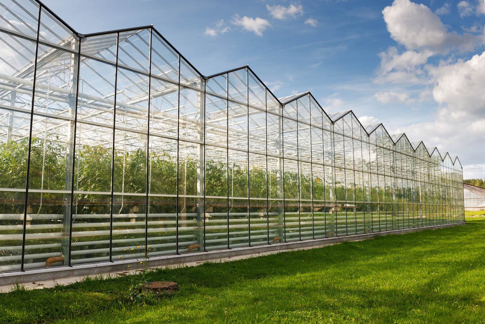 Greenhouse complexes