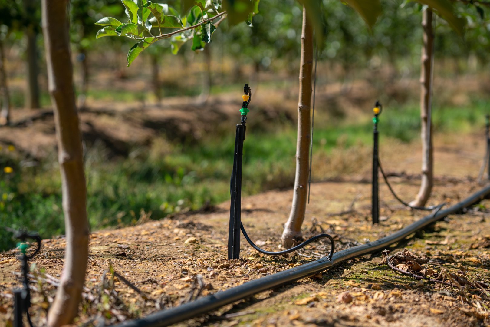 Spinkler irrigation systems