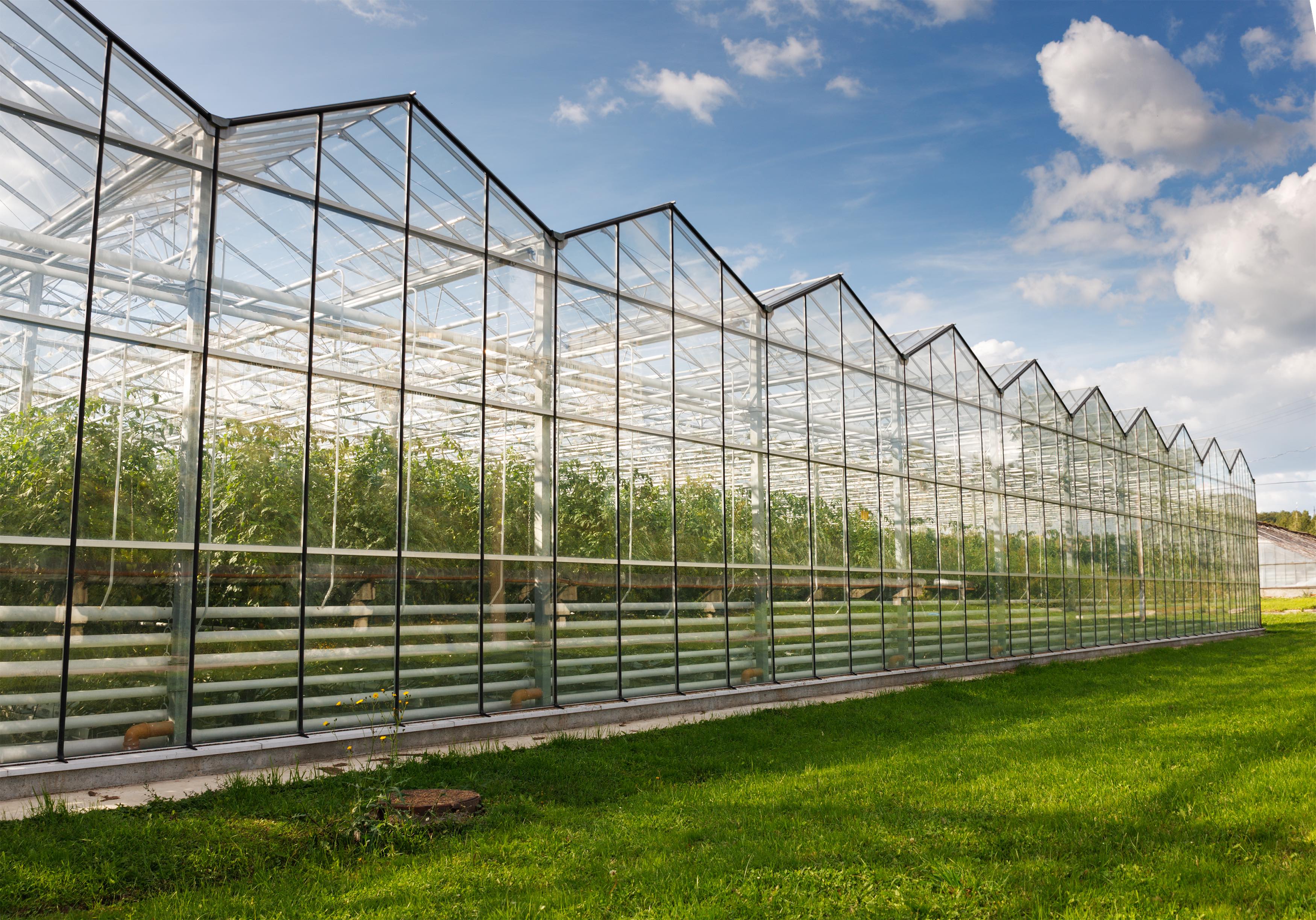 Greenhouse complexes