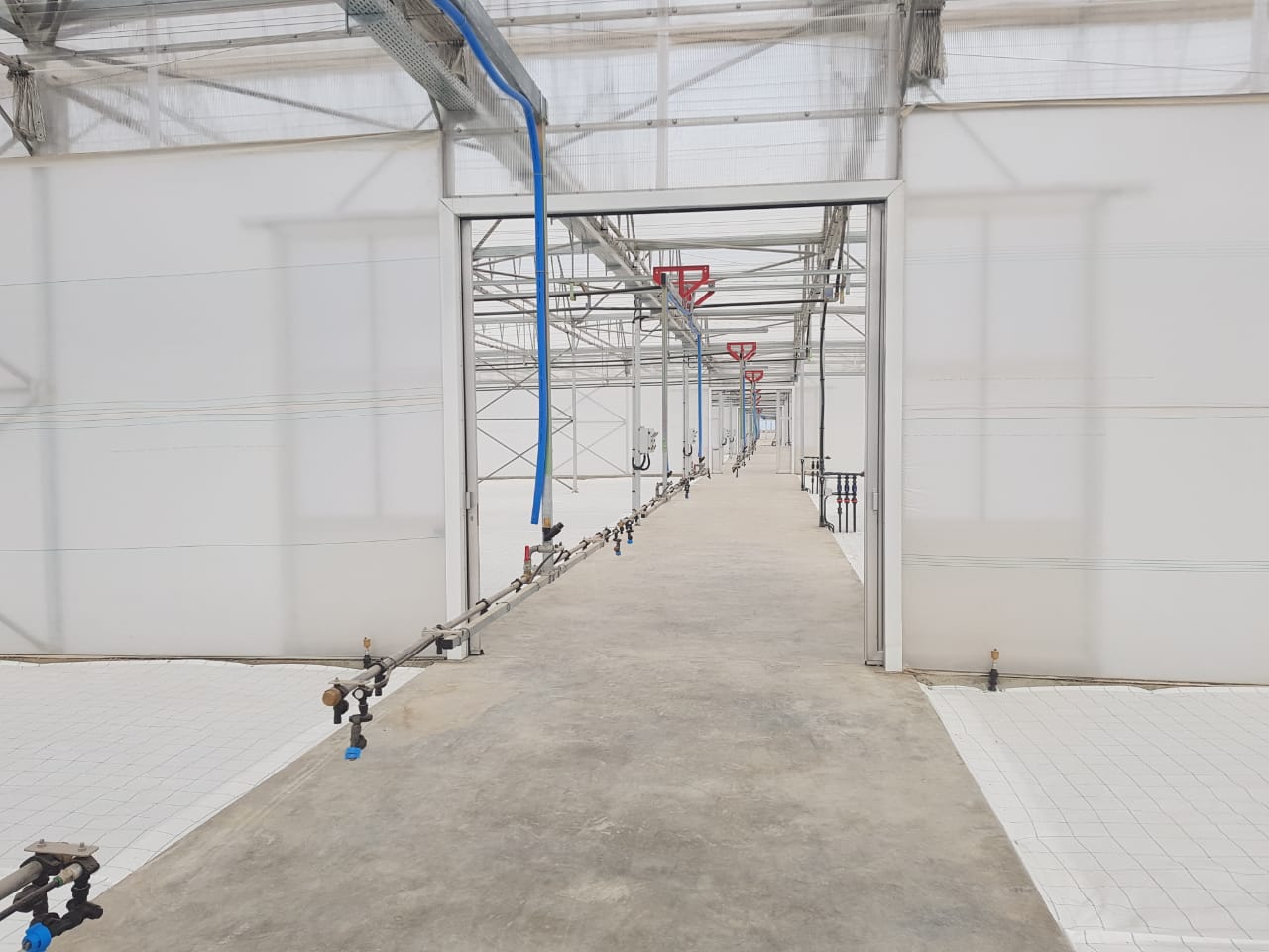 Проделанные работы - Тепличные Комплексы