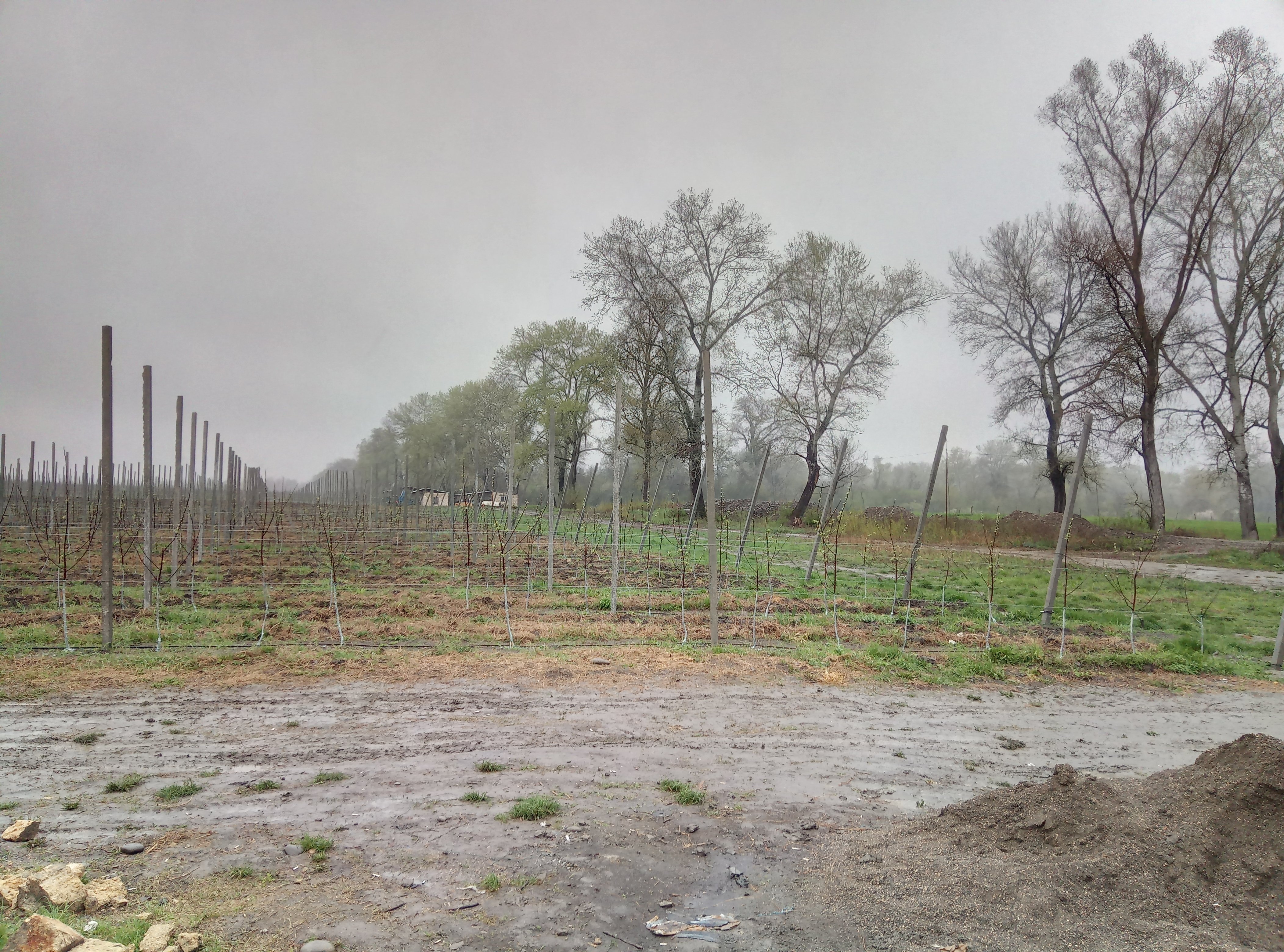 Система капельного полива для 25Га яблочного сада