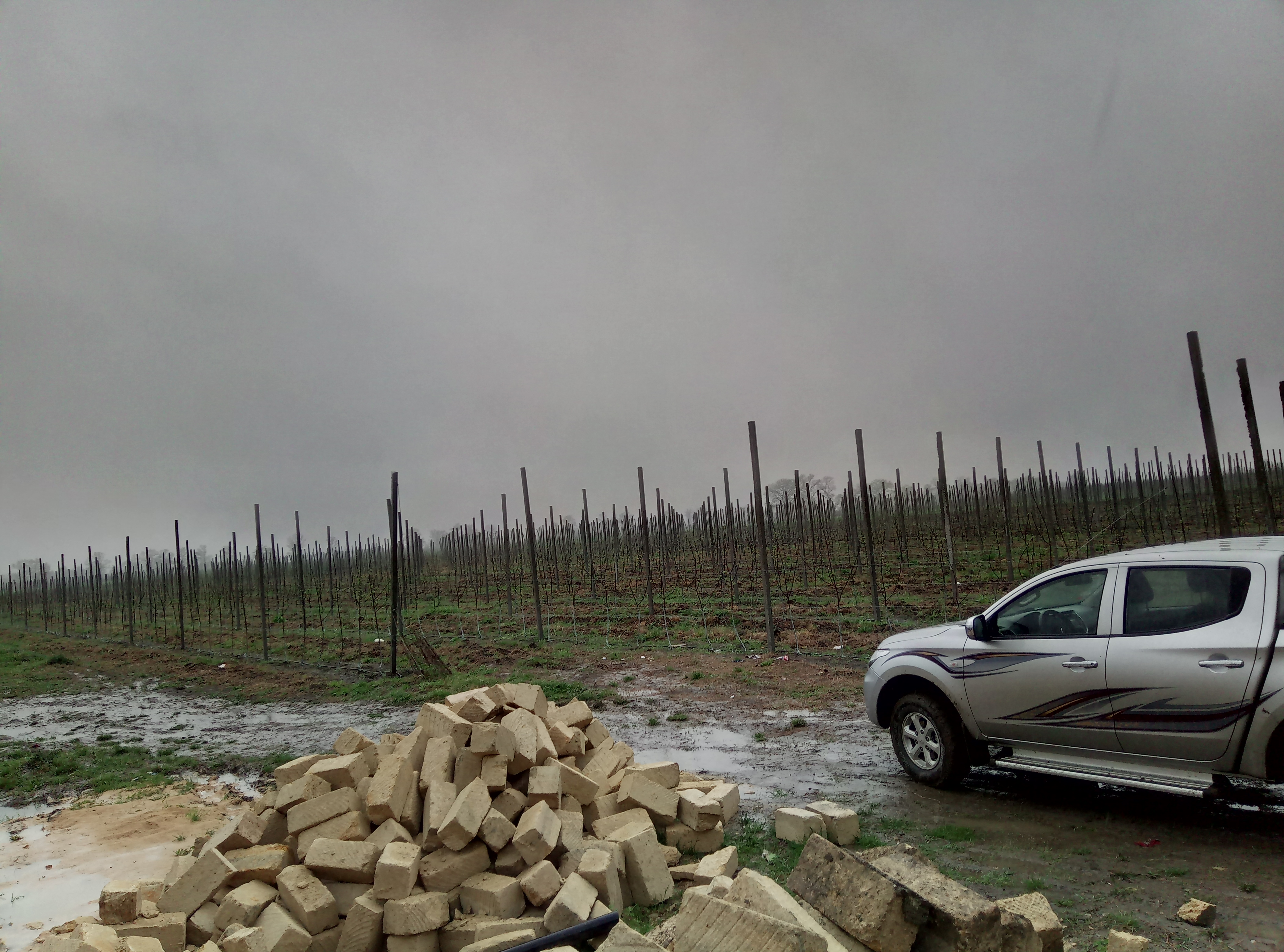 Система капельного полива для 25Га яблочного сада