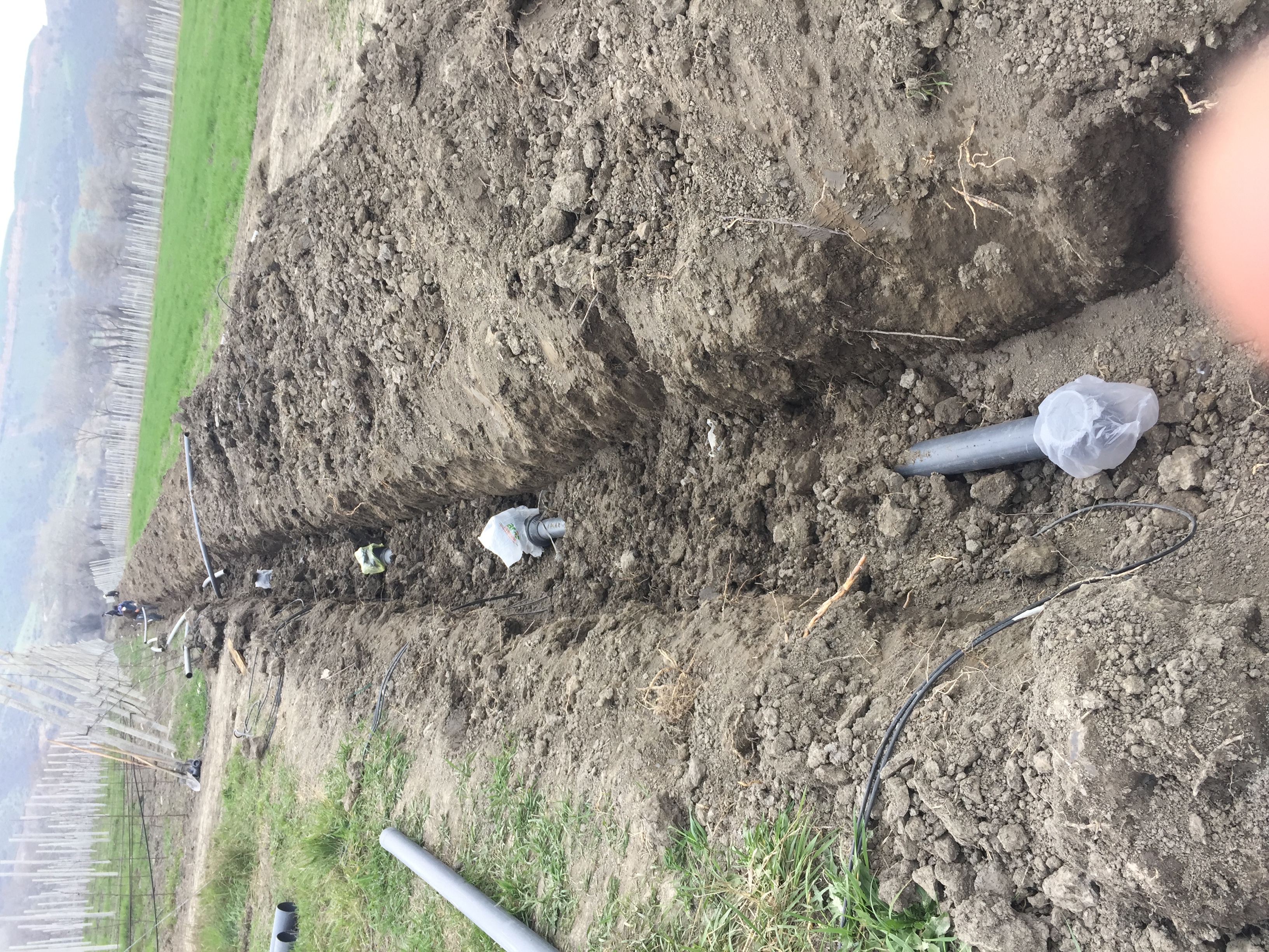 Система капельного полива для 25Га яблочного сада