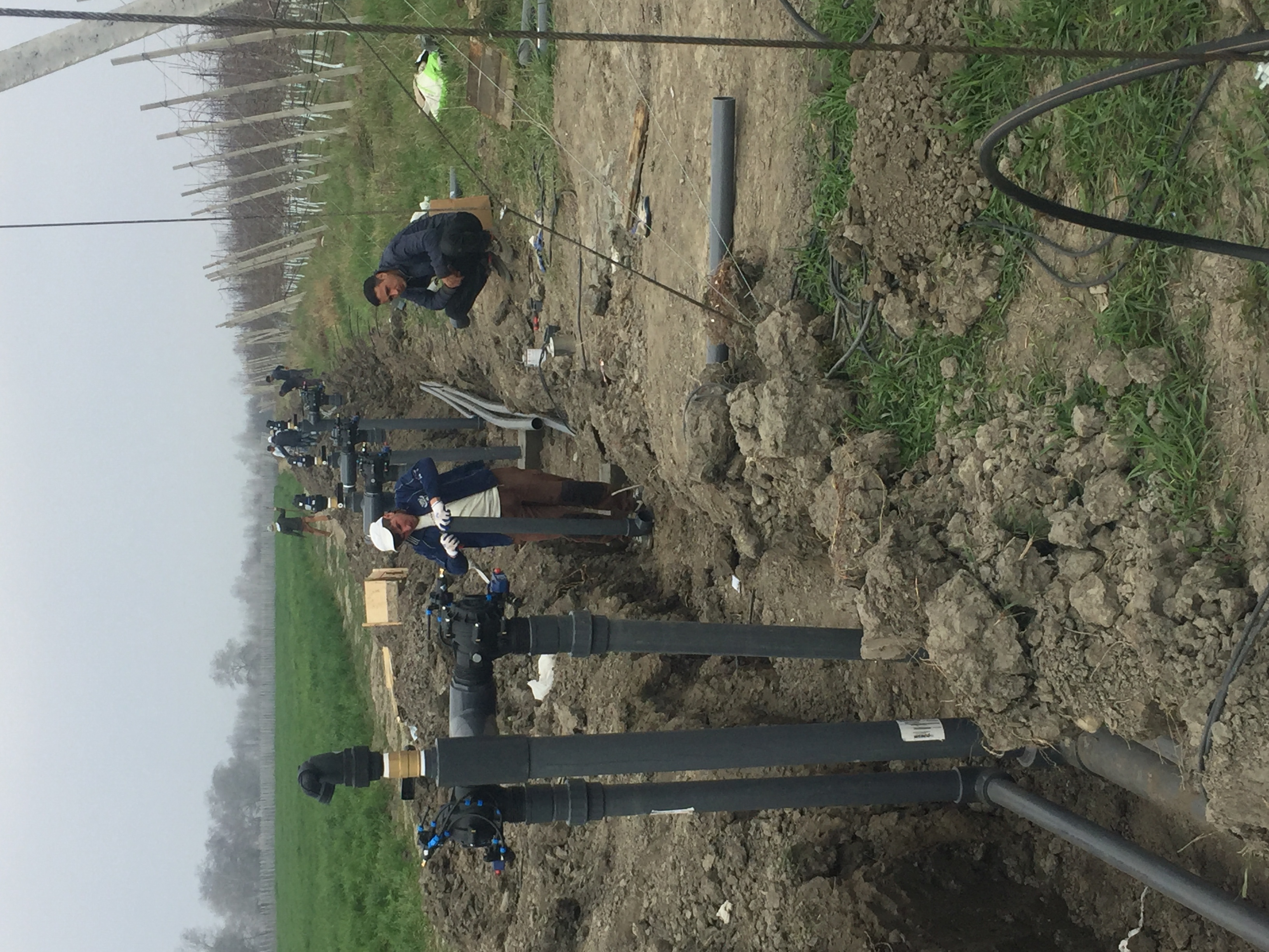 Система капельного полива для 25Га яблочного сада