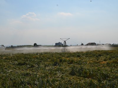 Spray Boom