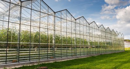 Greenhouse complexes
